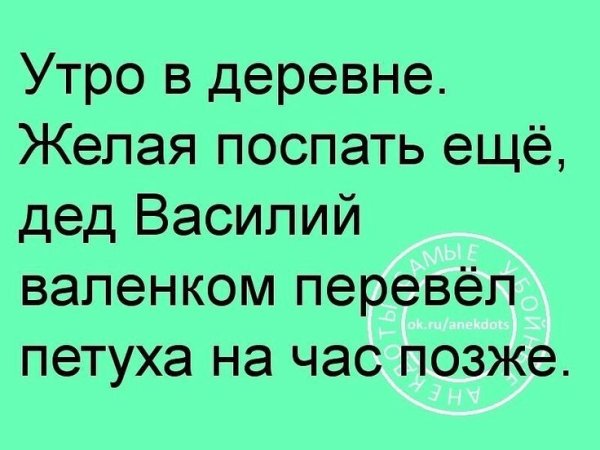 Анекдоты с добрым утром