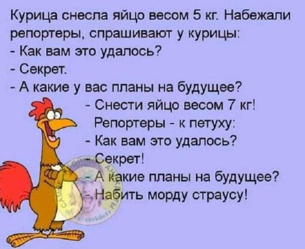 Смешные анекдоты