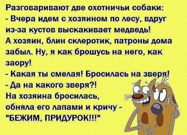 Смешные анекдоты