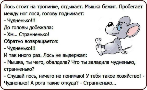 Смешные анекдоты