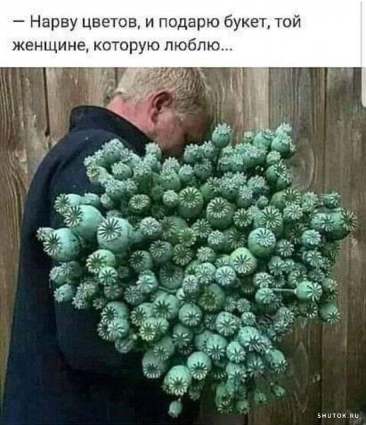 Шутки про букеты цветов