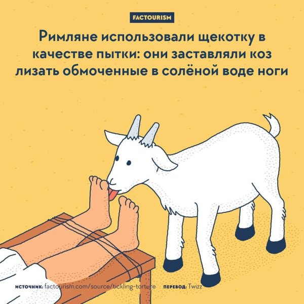 Интересные смешные факты