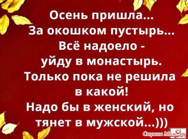 Анекдоты про осень