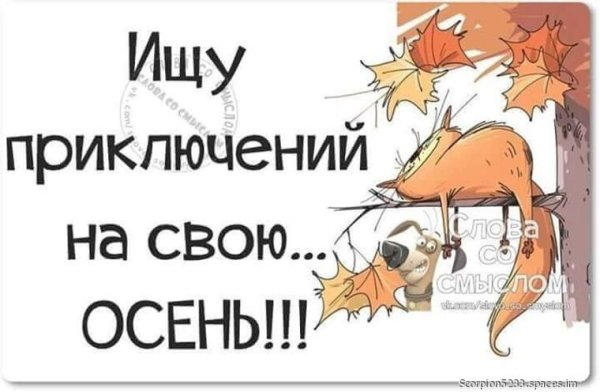 Смешные высказывания про осень