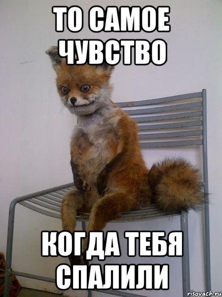 Спалился прикол