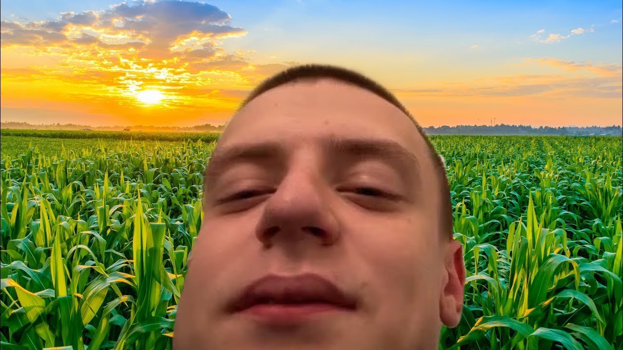  31 