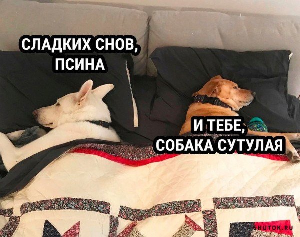 Смешные картинки топлесс