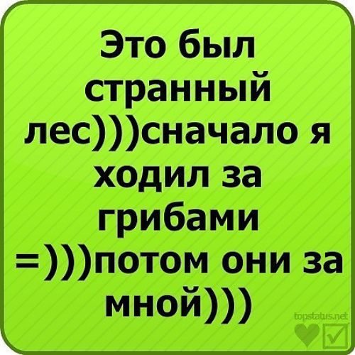 Смешные статусы