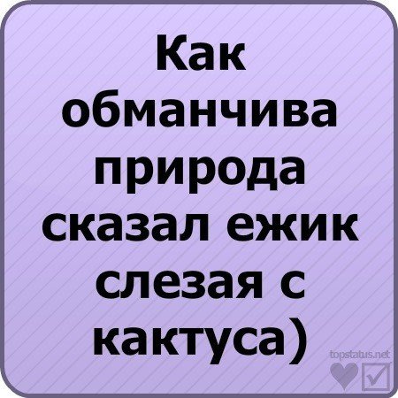 Статусы смешные до слёз