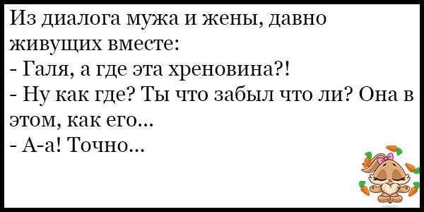 Еврейские анекдоты самые смешные до слез свежие анекдоты