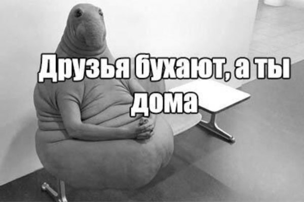 Ждун приколы