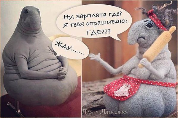Шутки про Ждуна