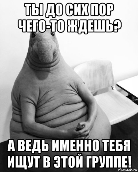 Ждун прикольный