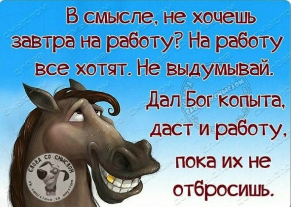 Прикольные статусы для ватсапа