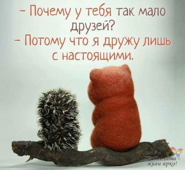Слова поддержки в трудную минуту