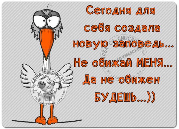 Позитивные высказывания
