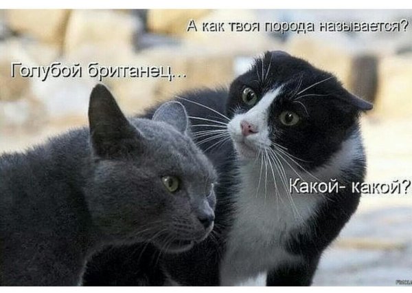 Не понял и не пытайся