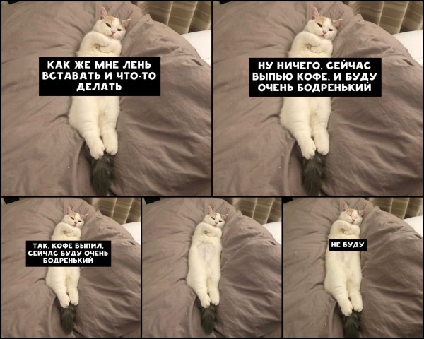 Мне лень вставать