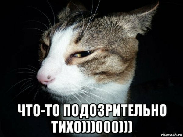 Подозрительно тихо в группе