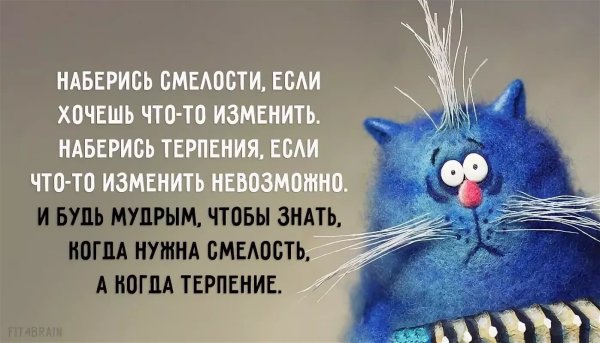 Позитивные фразы