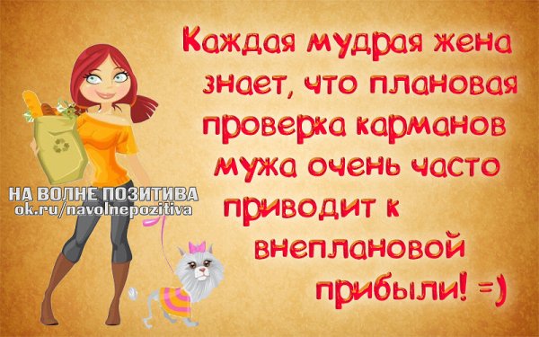 Веселые статусы в картинках
