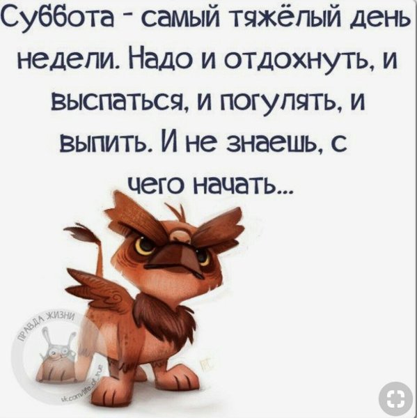 Смешные высказывания