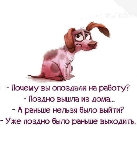 Цитаты с юмором