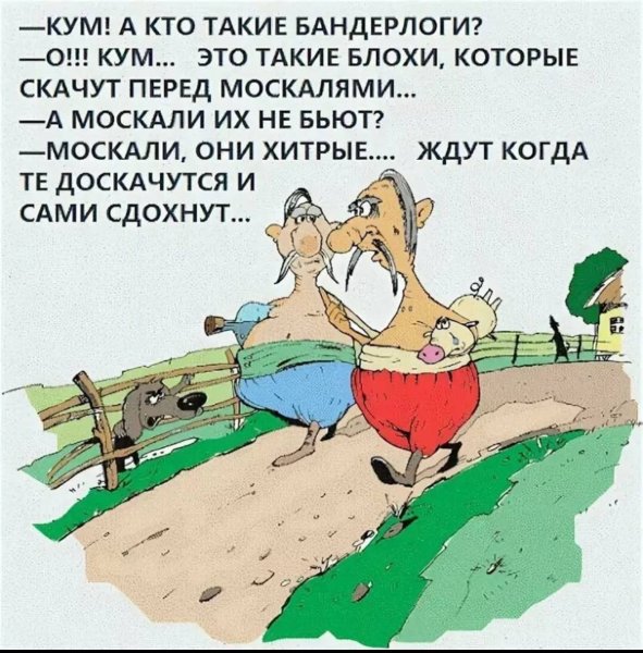 Украинские анекдоты с картинками