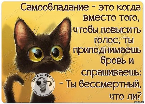 Классные картинки для статуса
