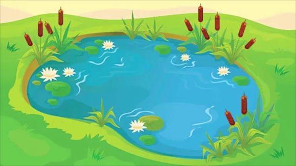 Водоем рисунок