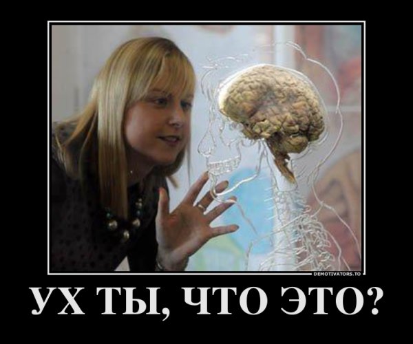 Демотиваторы тупость