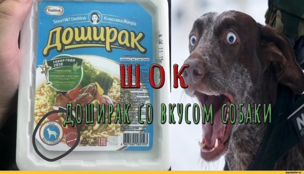 Доширак со вкусом собаки