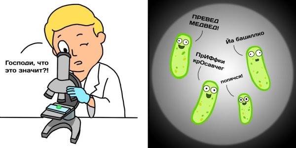 Смешные бактерии в картинках