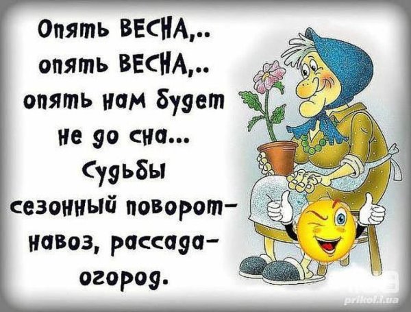 Стихи с юмором