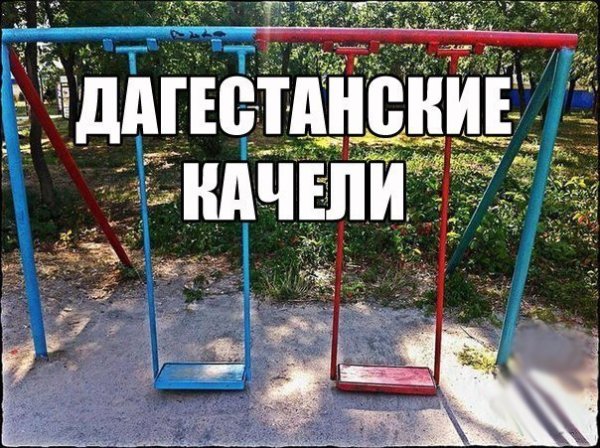 Смешные картинки даг