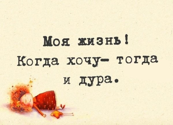 Смешные высказывания о жизни