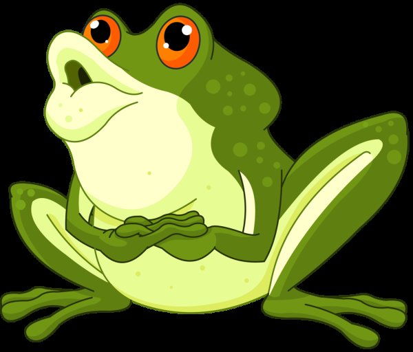 Смешные картинки жабы и лягушки из мультиков