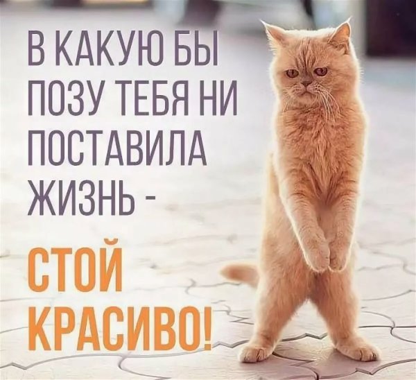 Смешные надписи для поднятия настроения