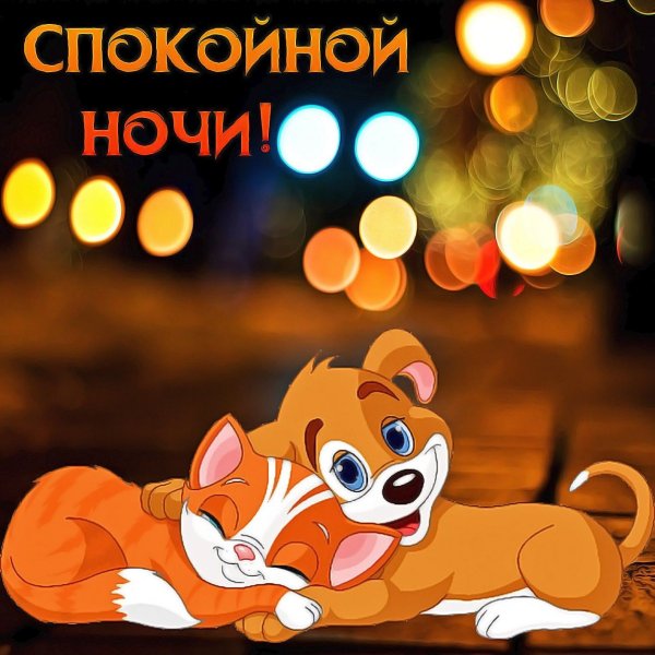 Открытки спокой цноночи