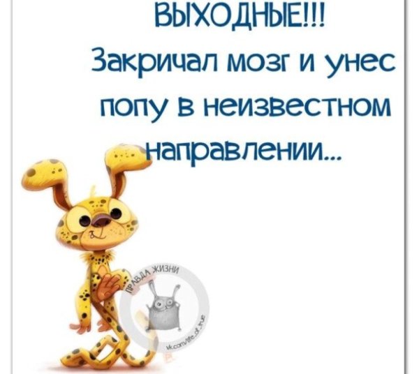 Высказывания про выходные