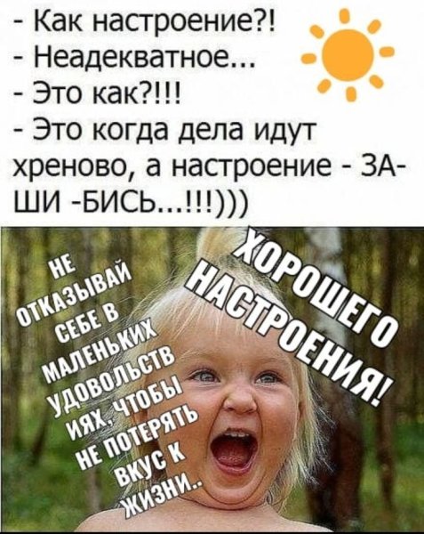 Смешные цитаты
