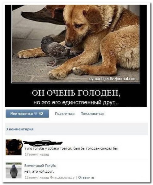 Смешные комменты