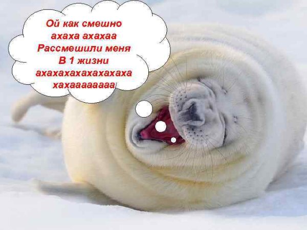 Картинка с надписью рассмешил