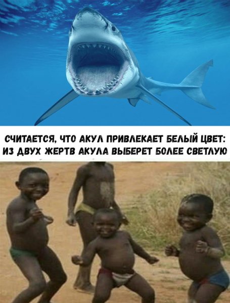 Приколы рисунки с надписями