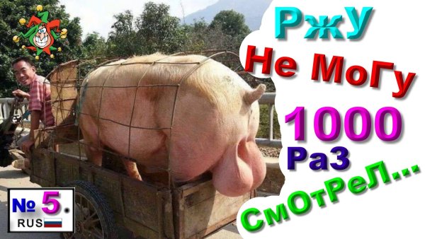 Смешные приколы до слёз