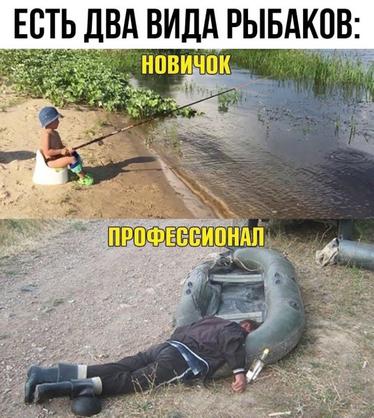 Приколы до слез с надписями