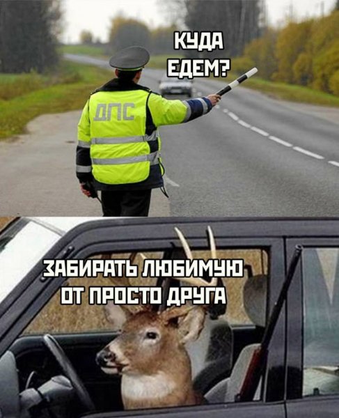 Интересные шутки