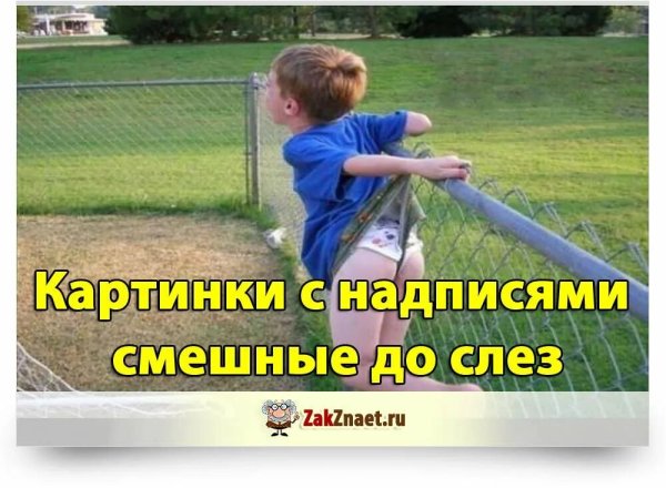 Ржачные картинки до слез с надписями