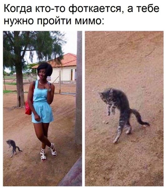Смешные картинки