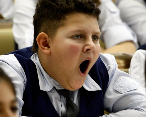 Лицо школьника